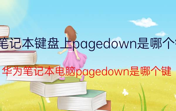 笔记本键盘上pagedown是哪个键 华为笔记本电脑pagedown是哪个键？